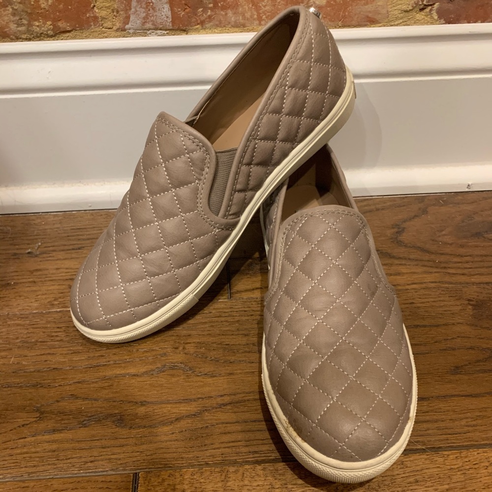 Steve Madden Ecentrcq slide on sneaker